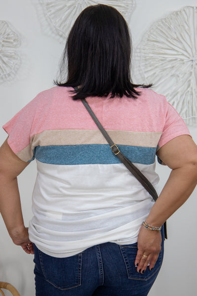 Multi Color Wide Stripe Top back