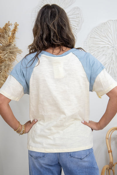 Ivory & Mauve Colorblock Detailed Top back