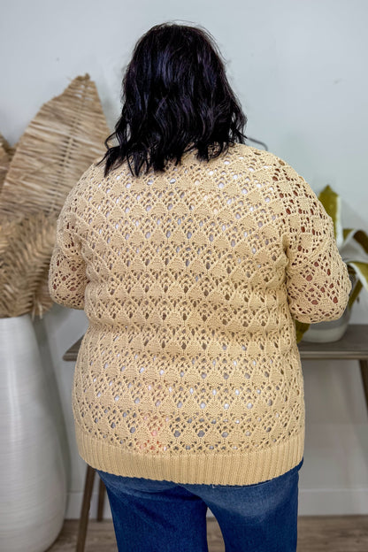 Banana Cream Pointelle Cardigan back