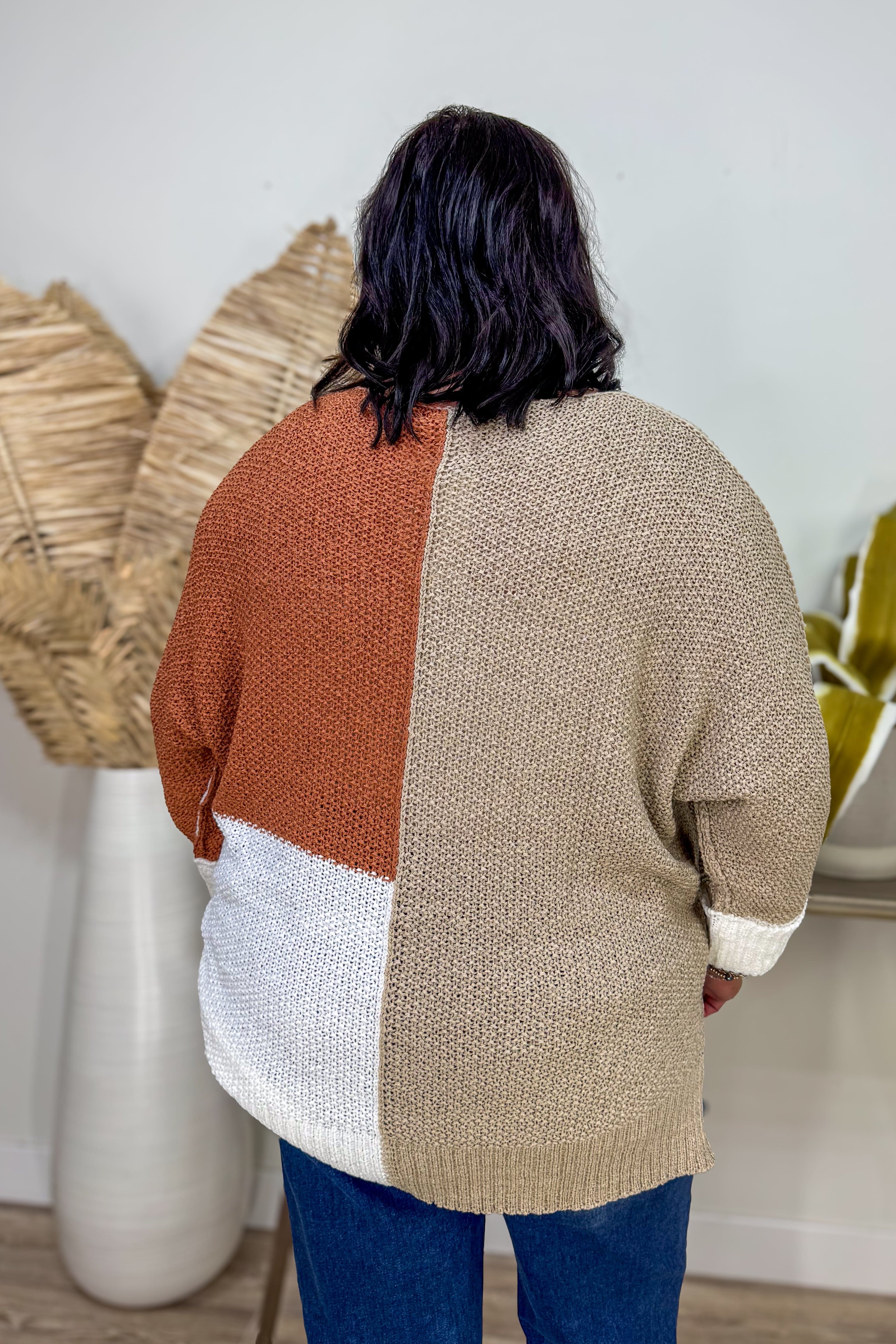 Oatmeal Colorblock Everyday Sweater back