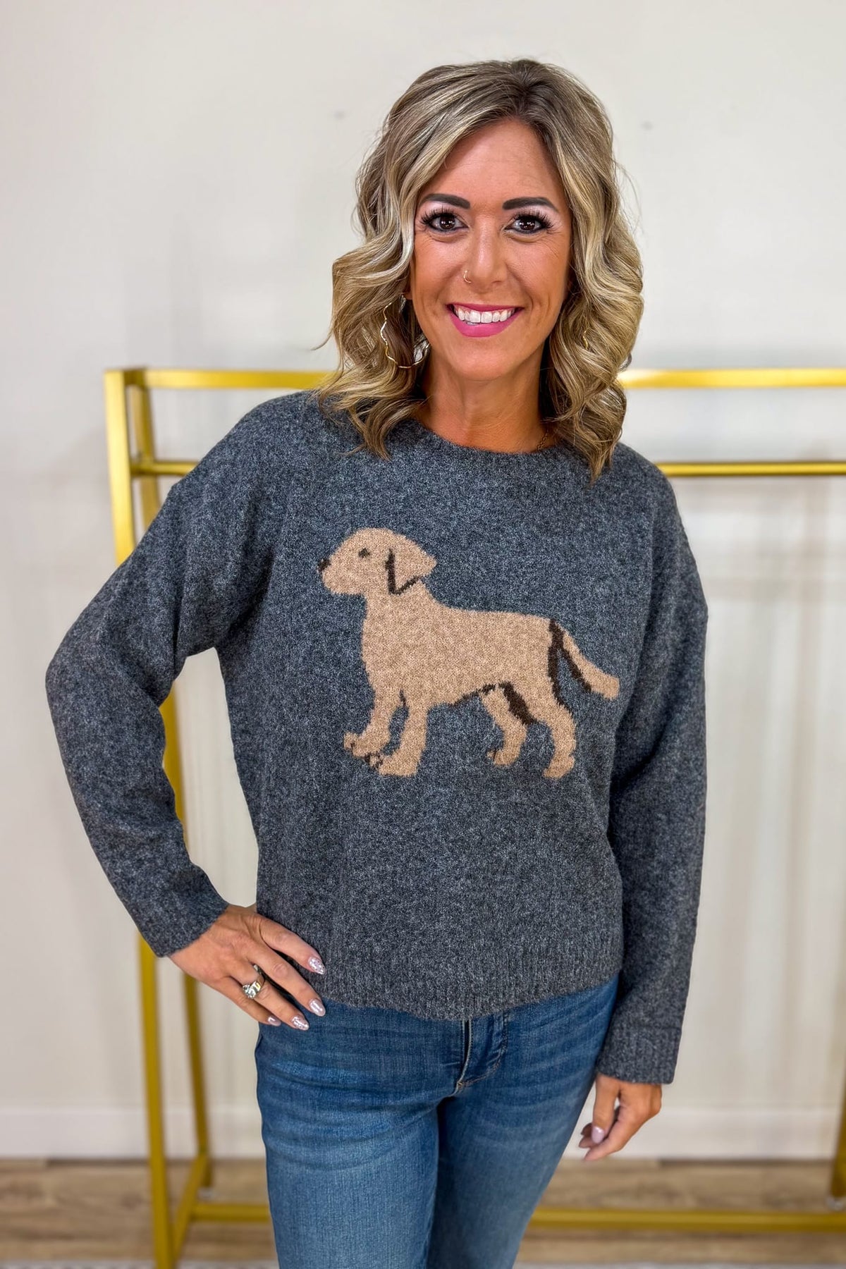 Grey Motif Dog Sweater