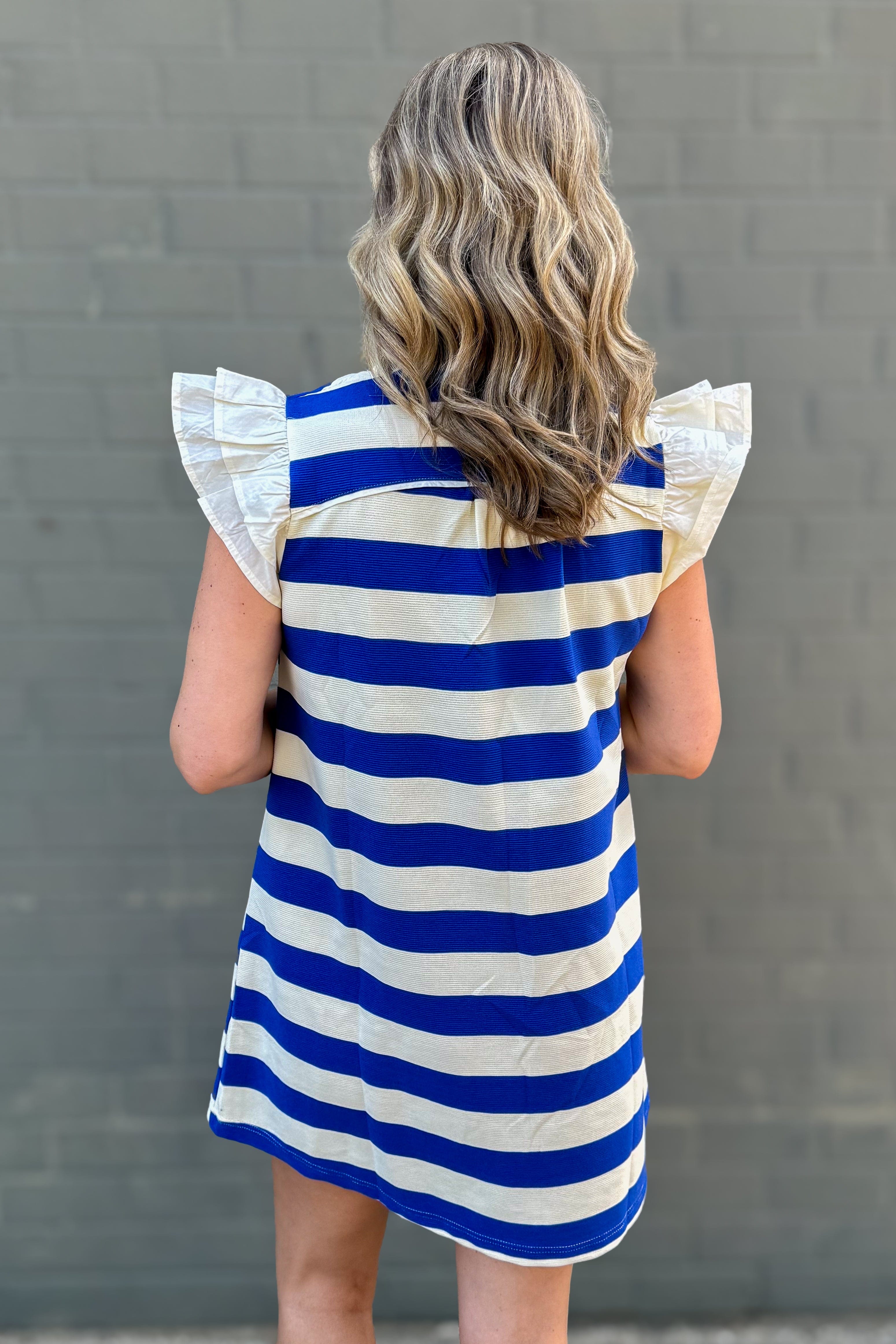 Royal Blue Stripe With Ruffle Detail Dress back