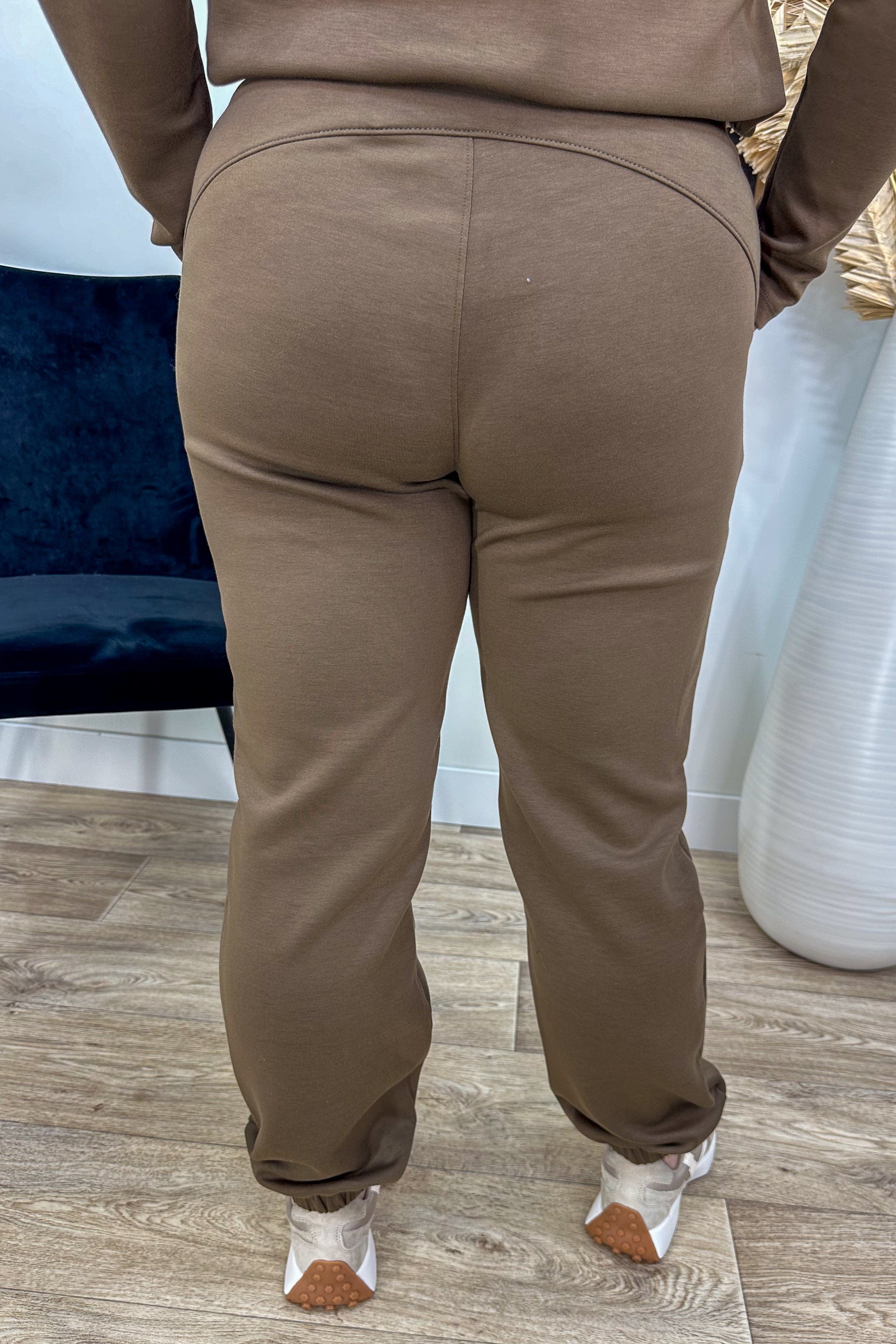 Mocha Day Trip Jogger Pant back