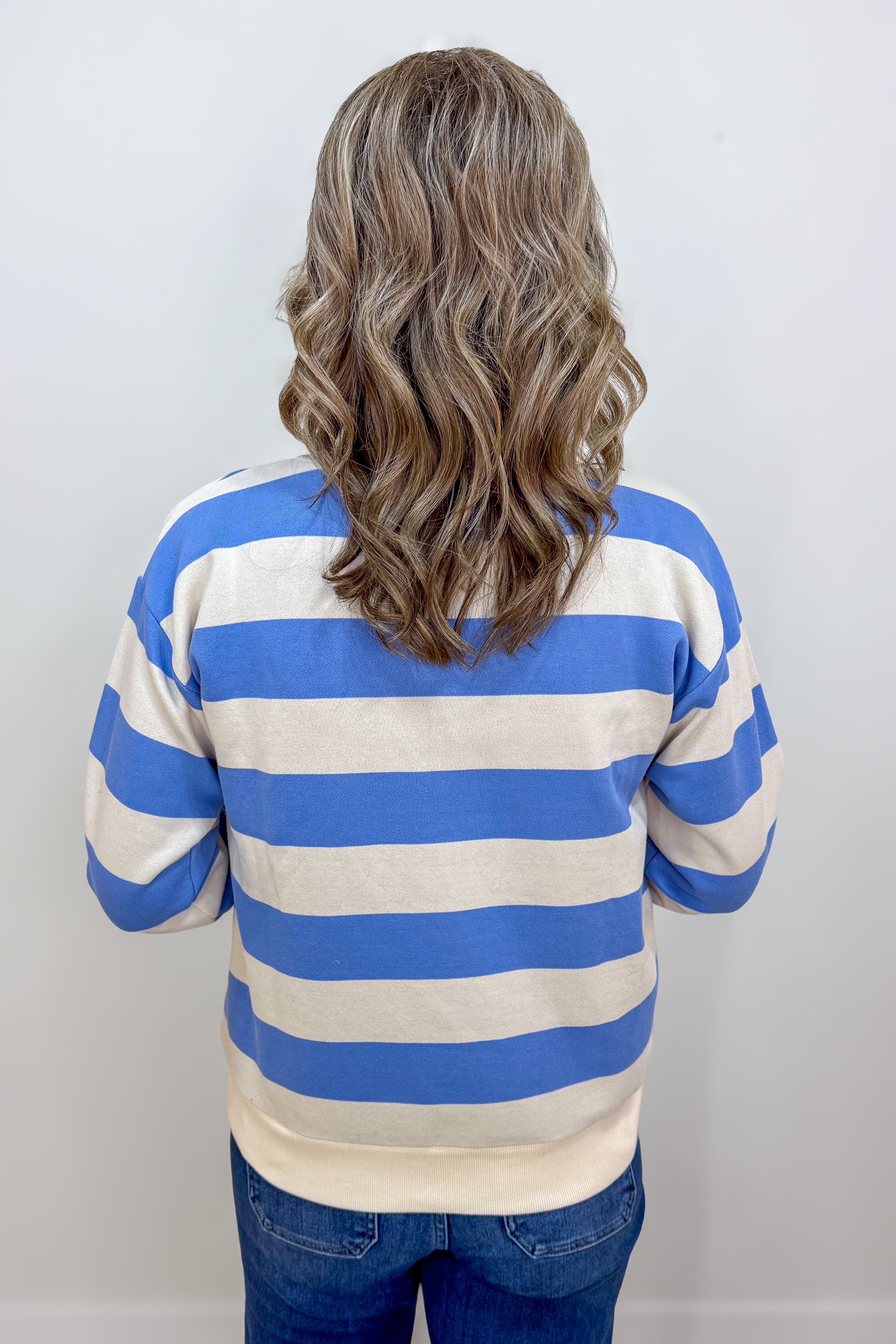 Sky Blue Half Zip Bold Stipe Sweatshirt Back