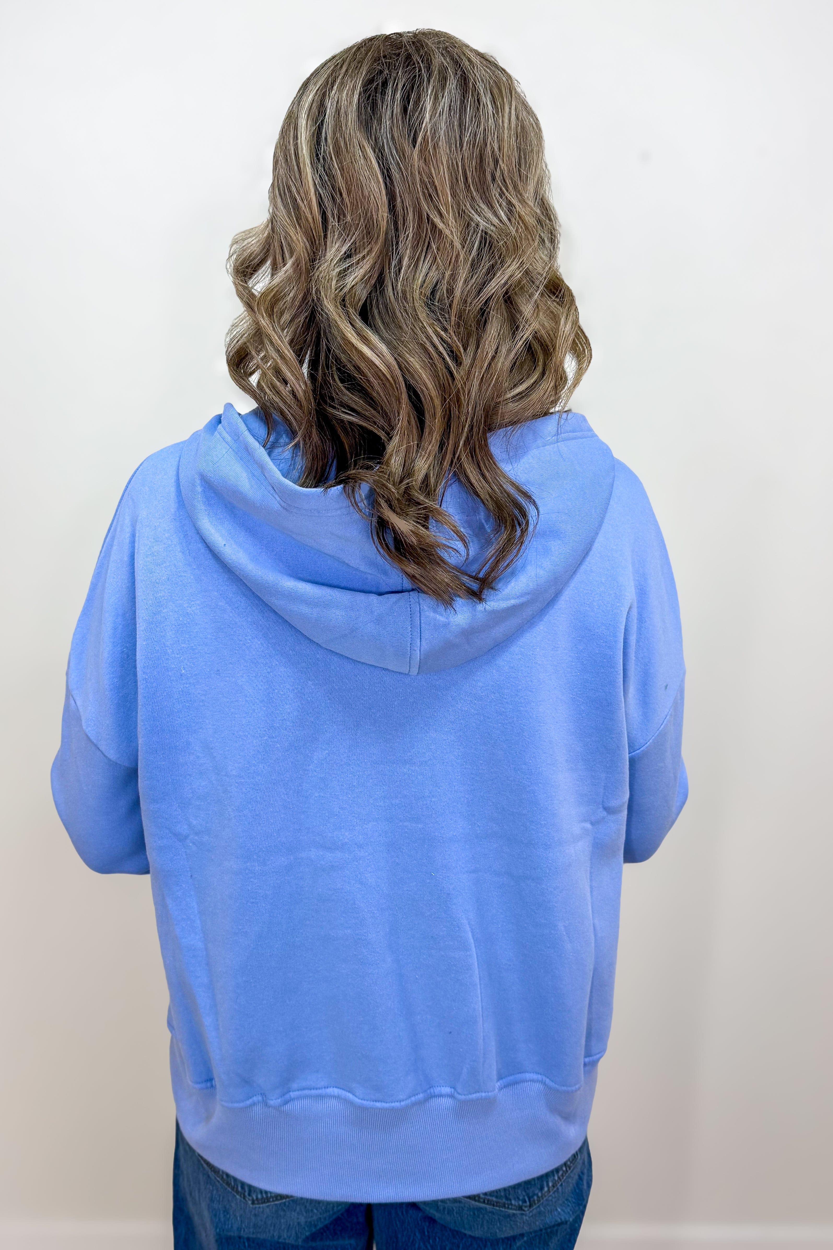 Spring Blue Half Snap Hooded Sweatshirt Back