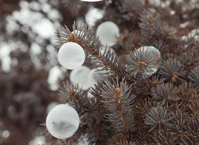 Crazy Ice Bubbles