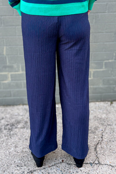 Navy Crinkle Wide Leg Pants Back