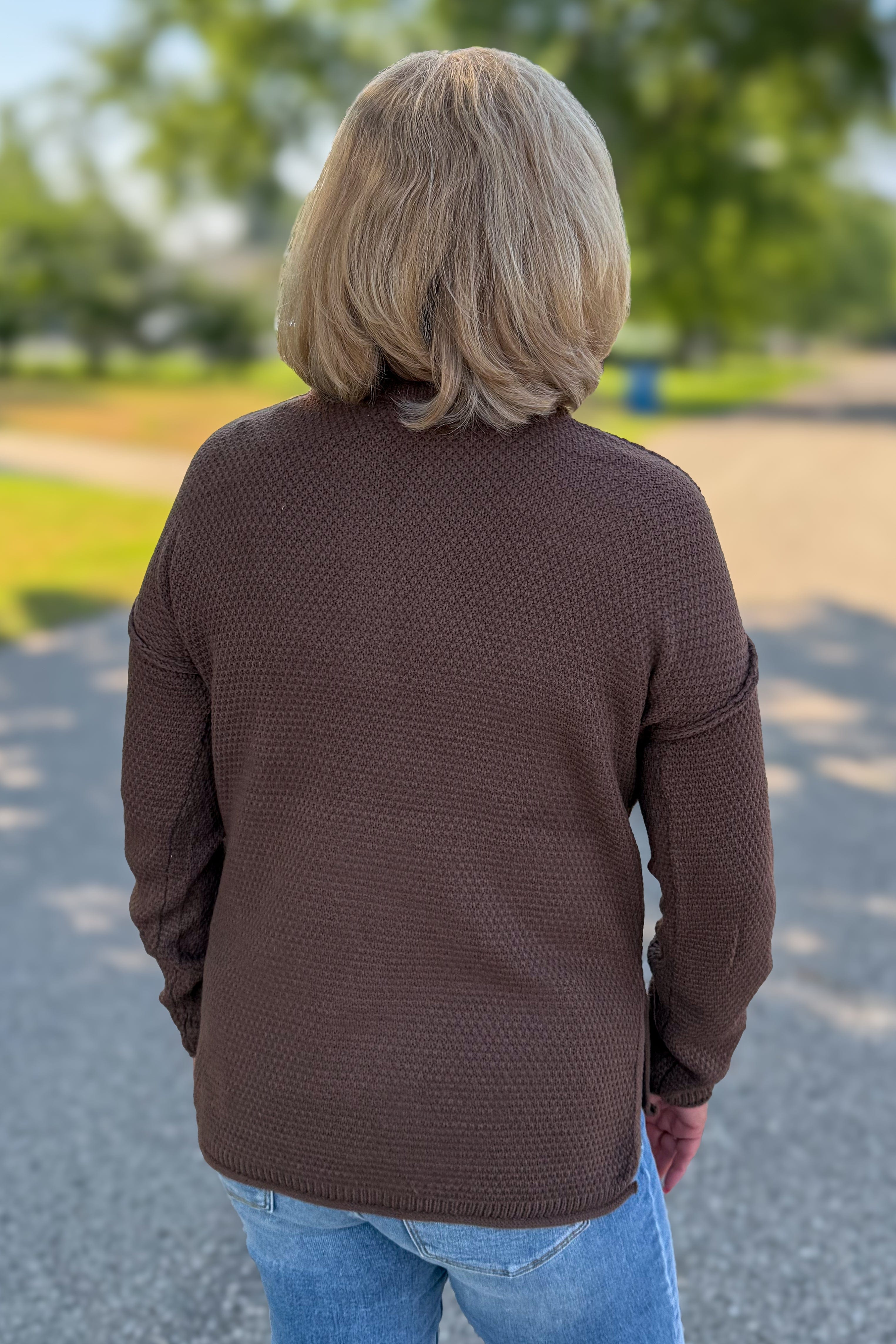 Brown Button Henley Basic Sweater