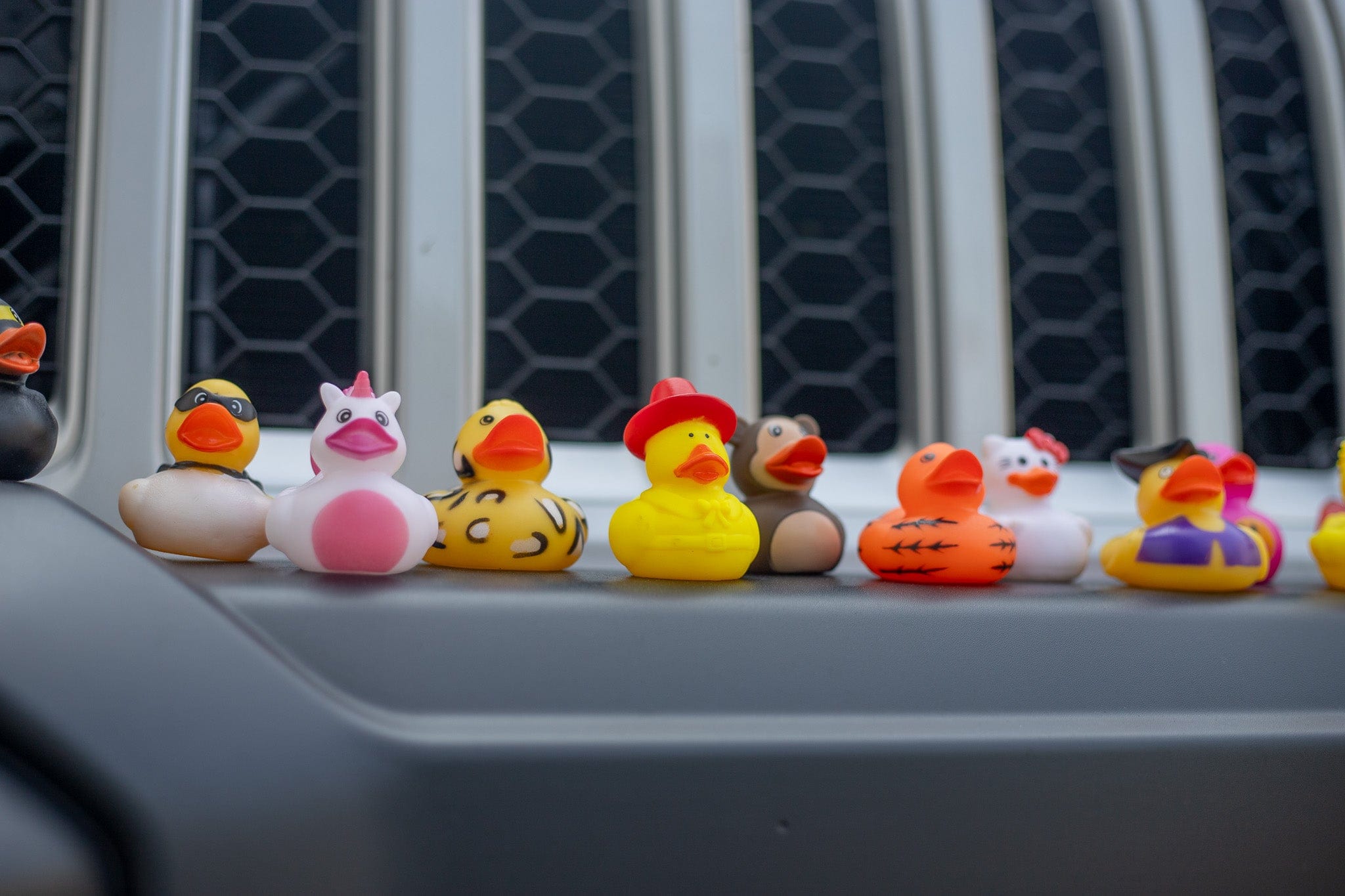 Assorted Jeep Rubber Ducks