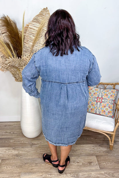 Denim Wash Button Up Dress back