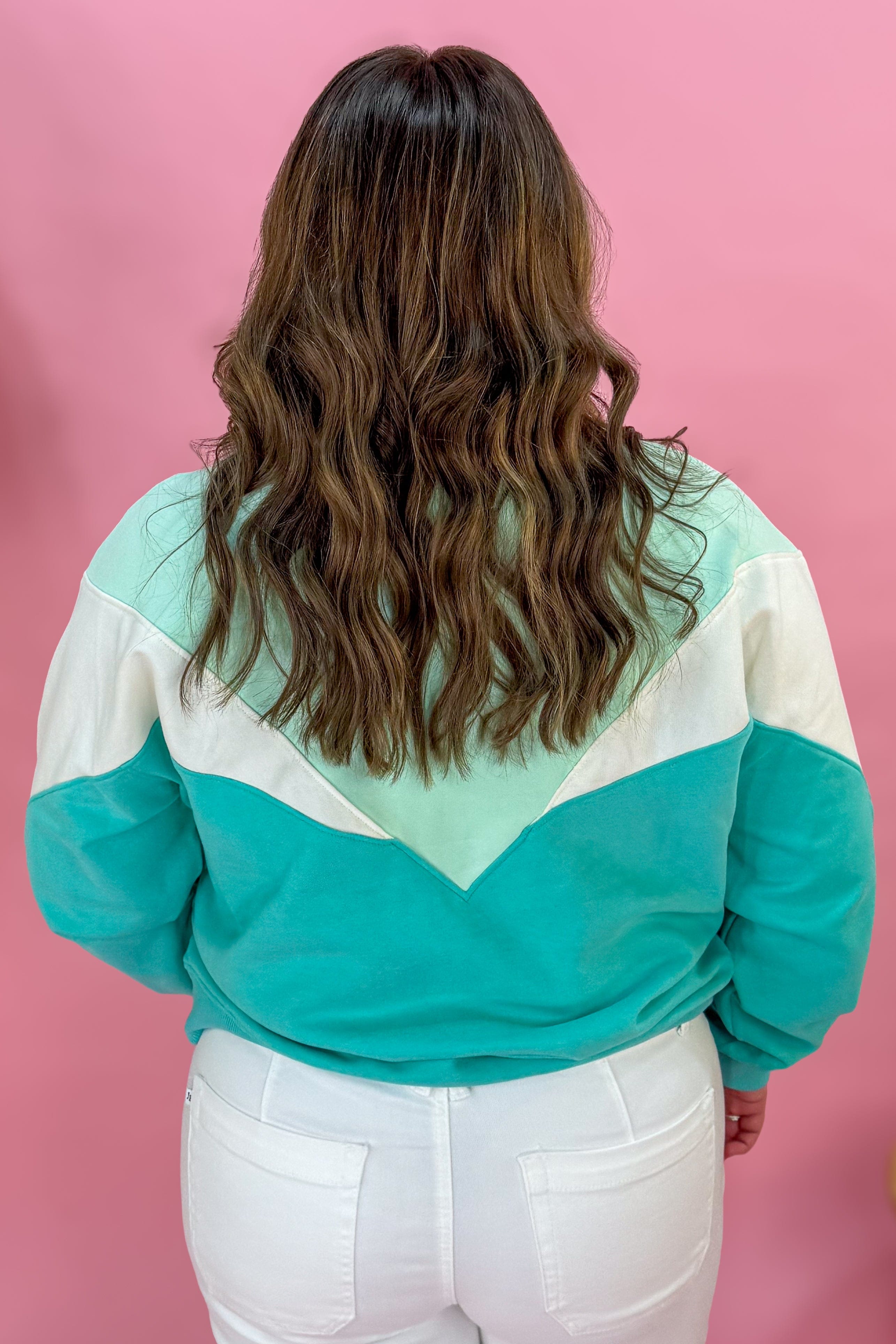 Aqua Tricolor Pullover Sweatshirt Back