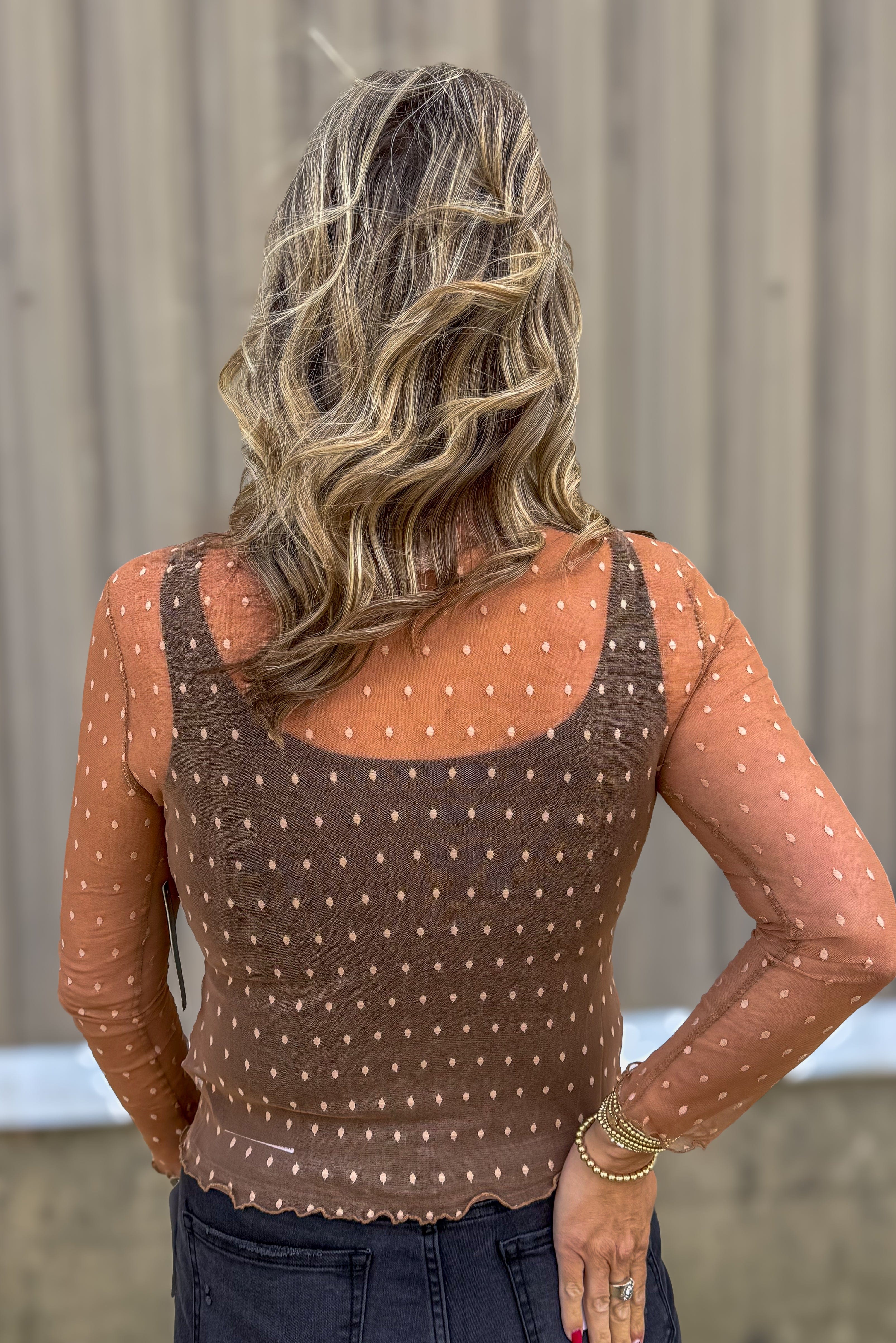 Taupe Dot Mesh Sheer Top back