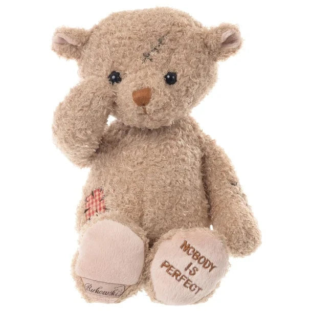 Nobody Is Perfect Teddy bear