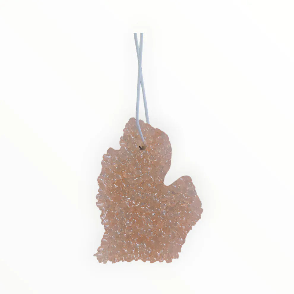 Beach Bum Michigan Air Freshener