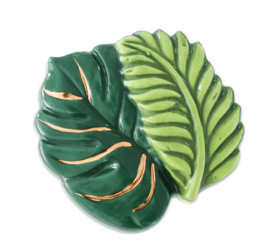 Best Ferns Forever Mini - Retired