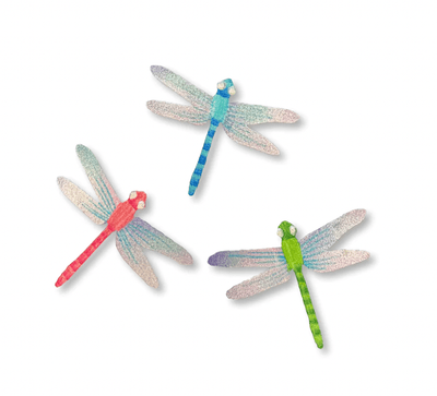 Dragonfly Magnets S/3