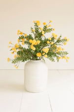 Yellow Botanica Stem