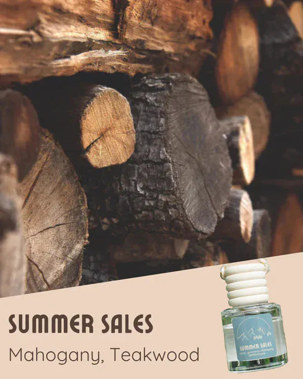 Summer Sales Car Air Freshner
