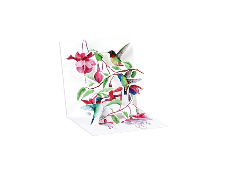 Hummingbird Card