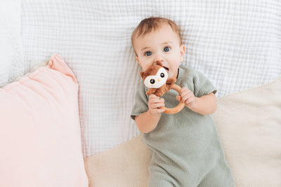 Owl Wooden & Plush Baby Teether
