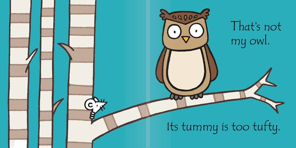 That's Not My Owl. : Usborne
