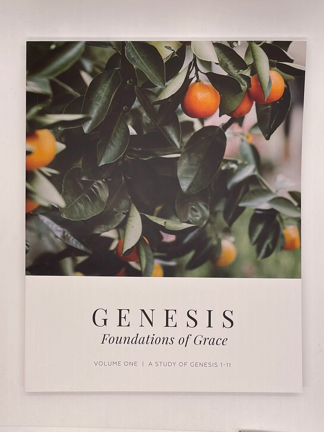 Genesis Vol. 1 | Foundations of Grace
