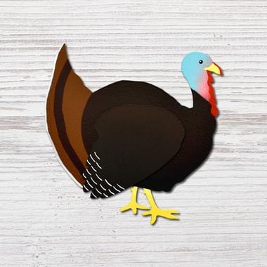 Turkey Magnet