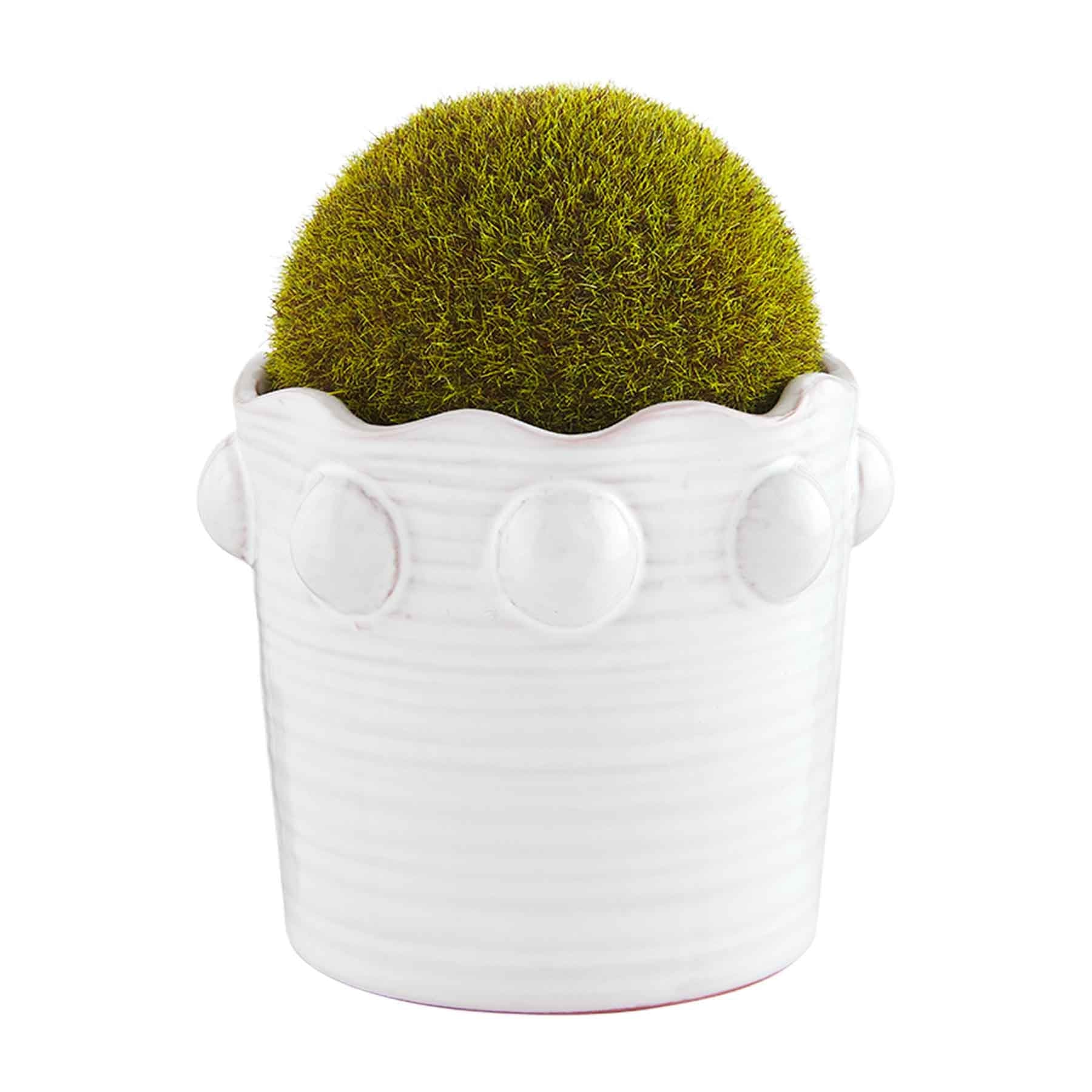 Small Beaded Faux Moss Pot