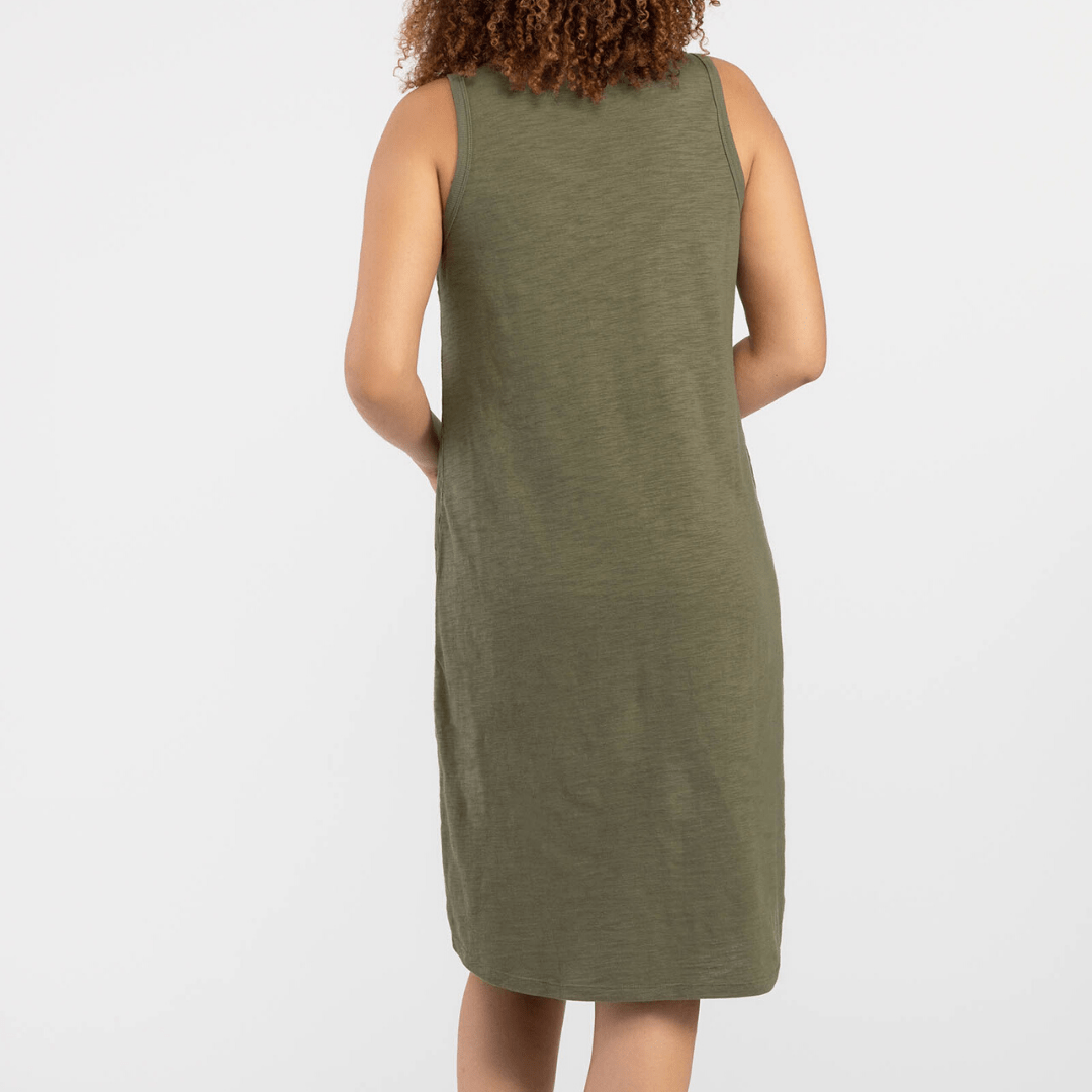 Lace Overlay Dress