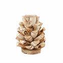 Birch Votive Holder