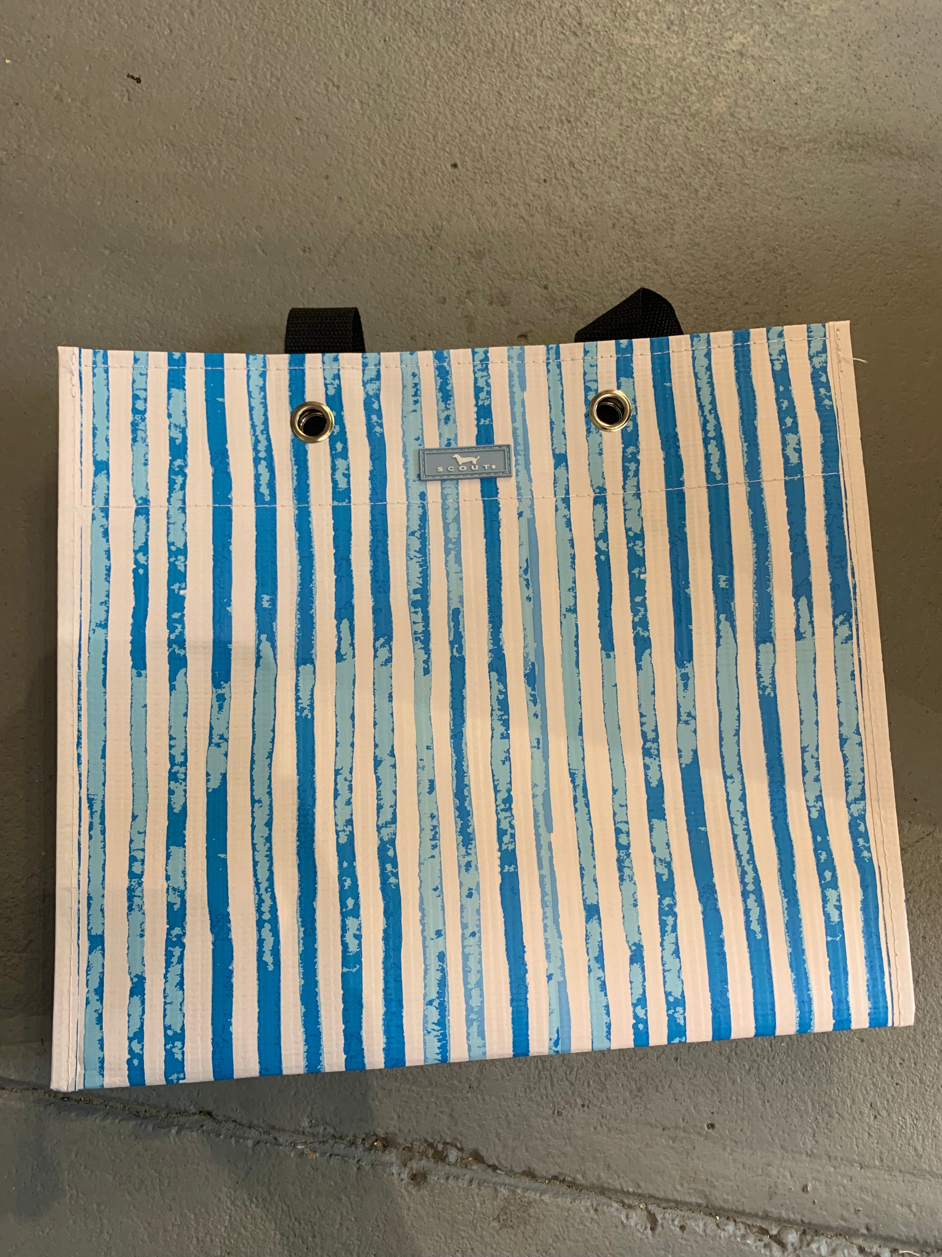 Stream & Shout Large Package Gift Bag