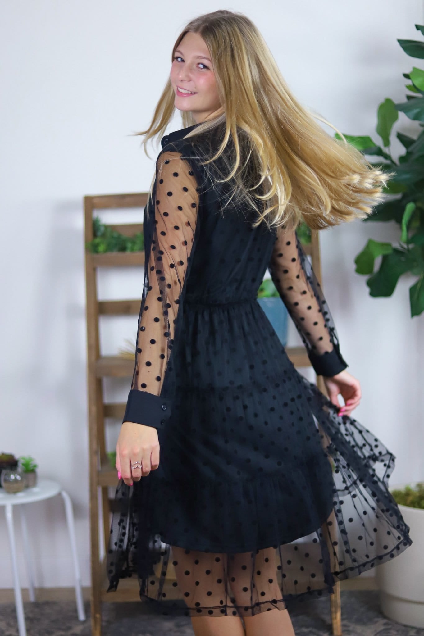 Mesh Polka Dot Dress