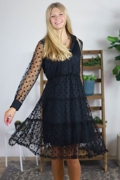 Mesh Polka Dot Dress
