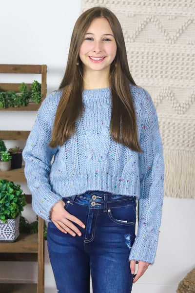 Smoke Blue Speckle Crop Sweater