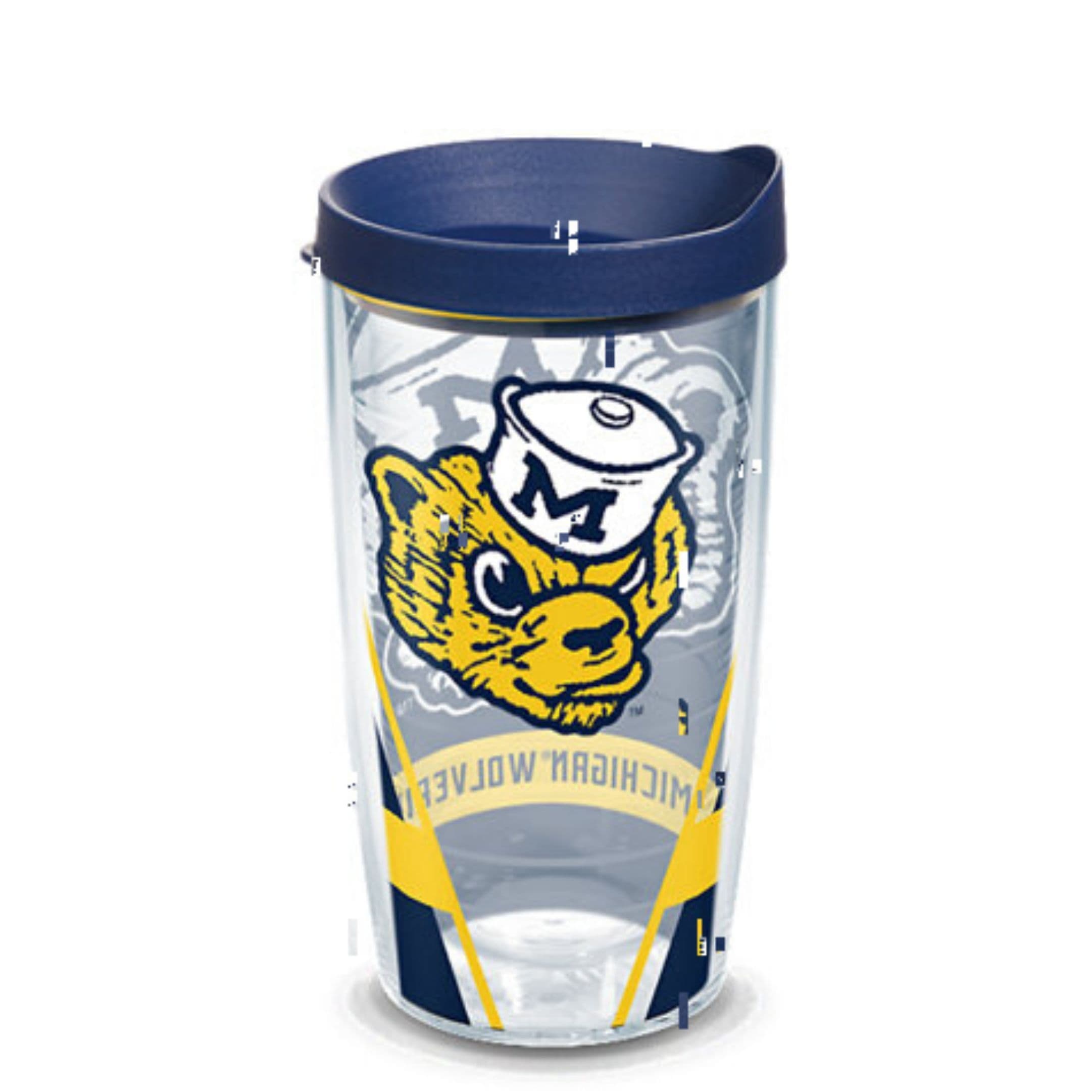 Michigan Wolverines Vault