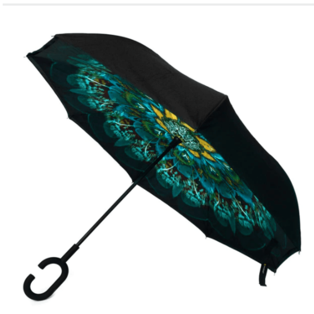 Reversible Umbrella