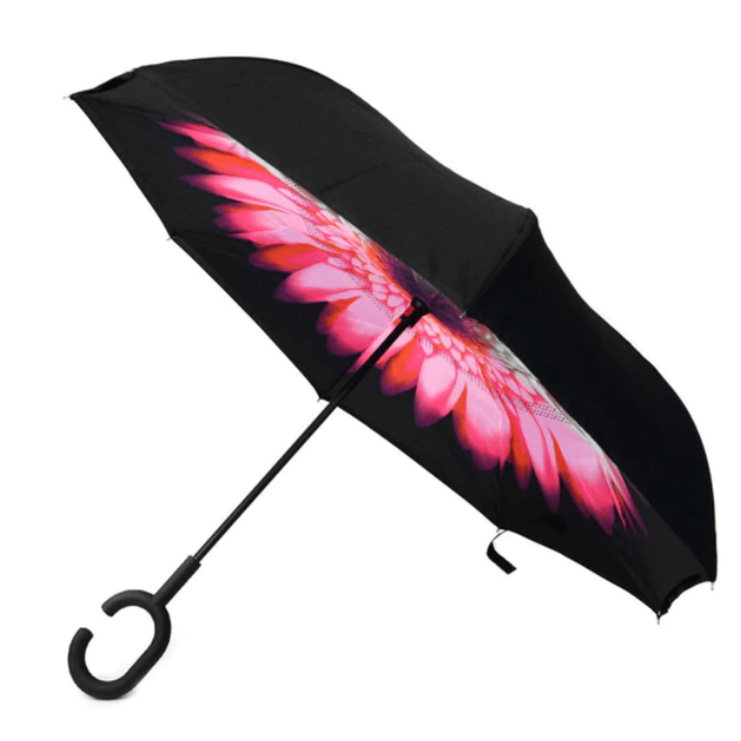 Reversible Umbrella