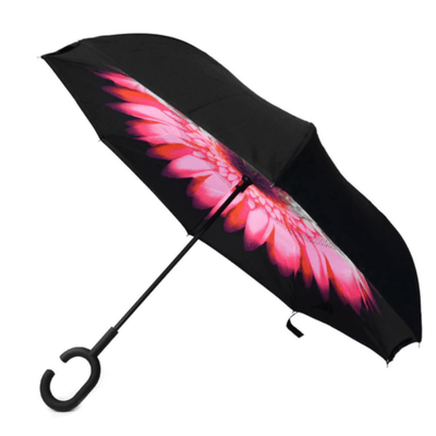 Reversible Umbrella