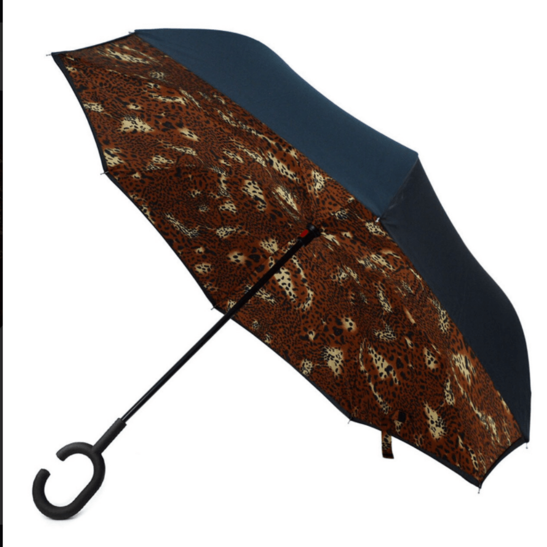 Reversible Umbrella
