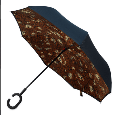 Reversible Umbrella
