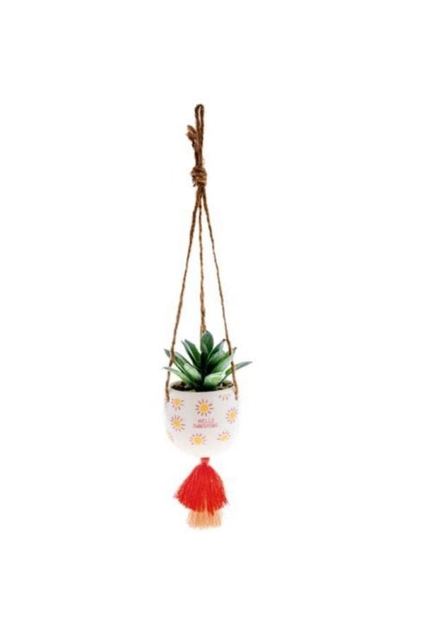 Hanging Succulent Pot - Hello Sunshine