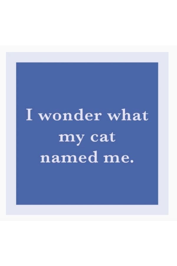 Cat Named Me Coaster