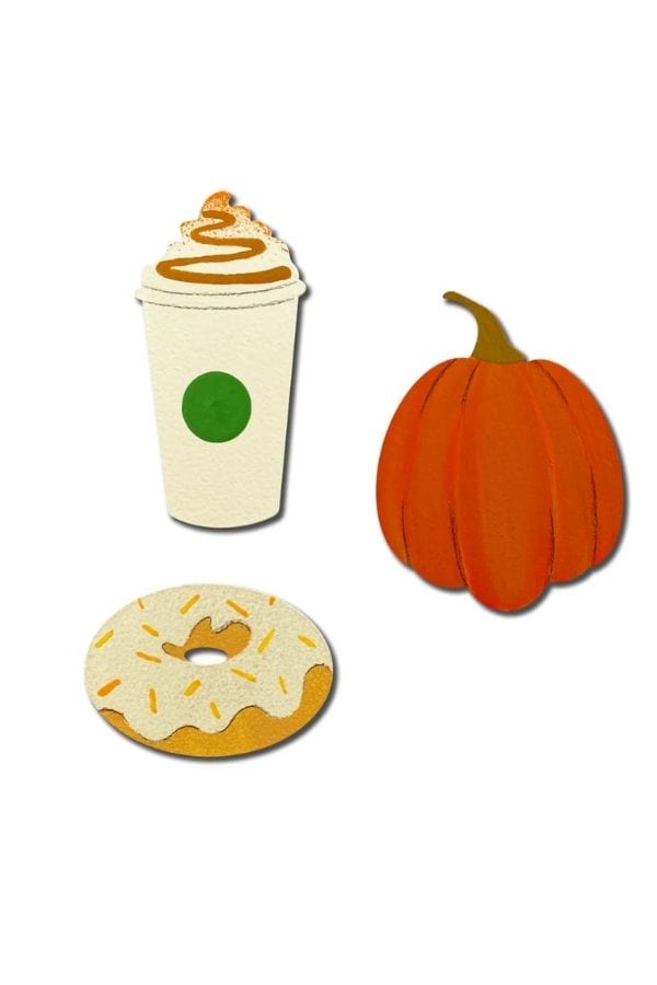 Pumpkin Spice Magnets S/3