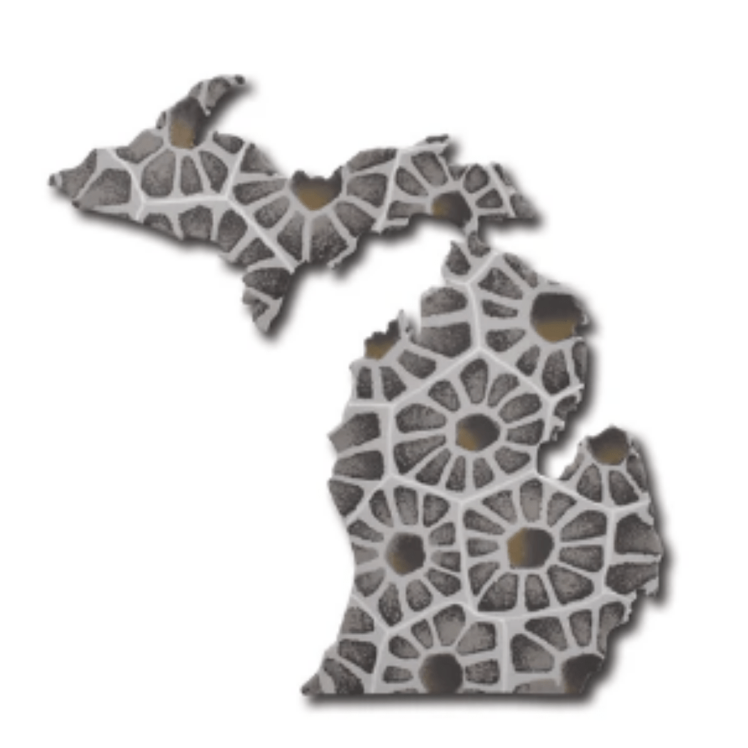 Michigan UP & LP Petoskey Magnet
