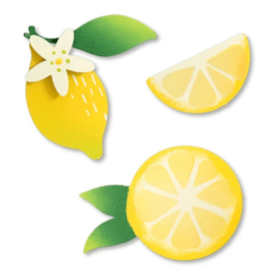 Lemon Magnets S/3