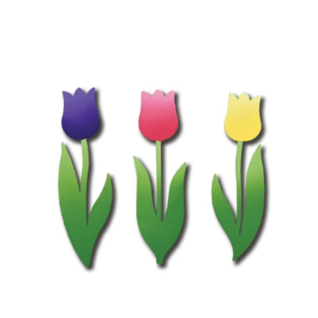 Tulip Magnets S/3