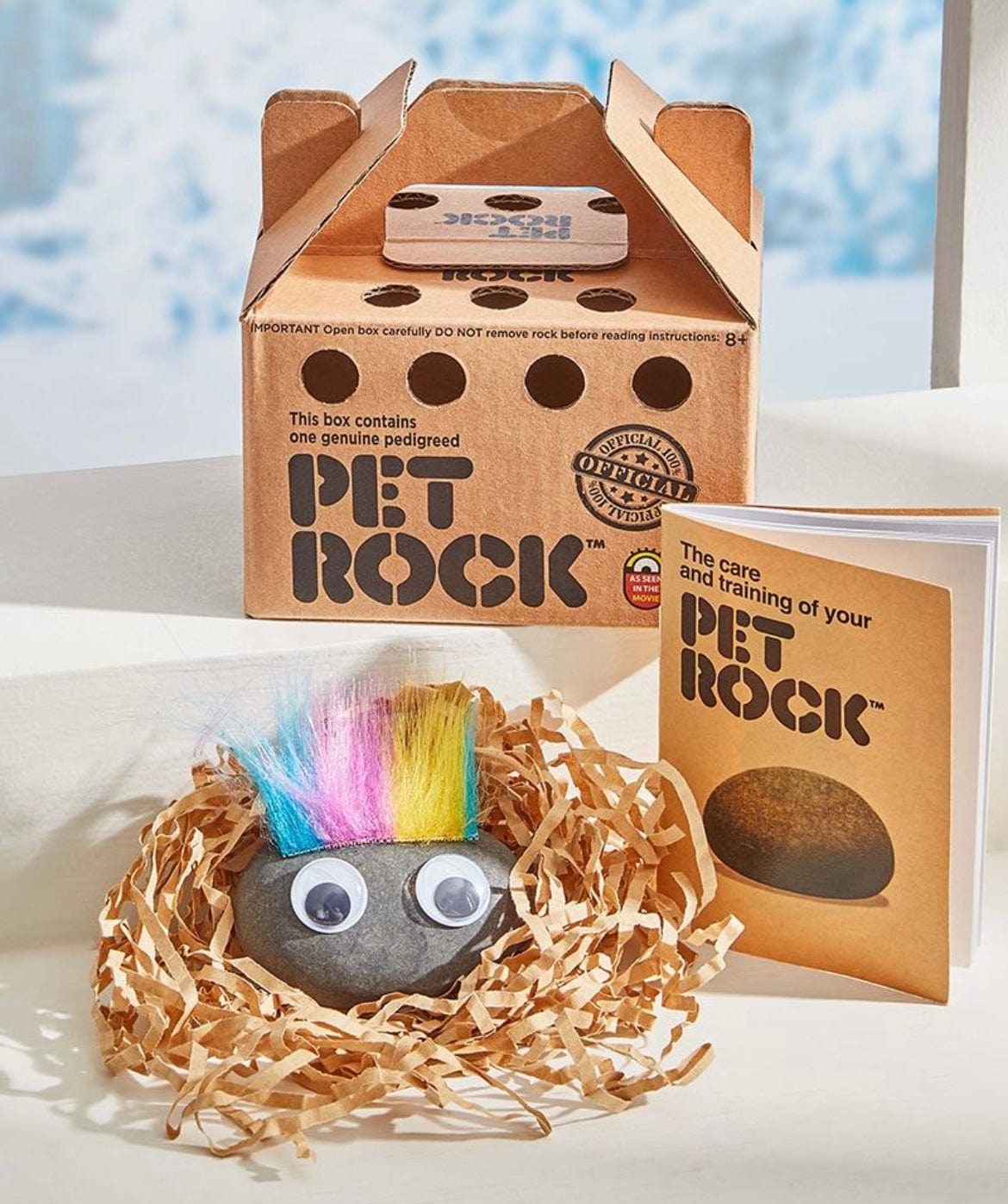 Pet Rock